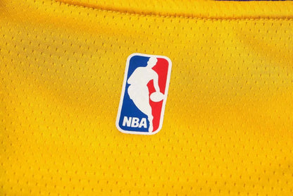 NBA Laker yellow James No 23