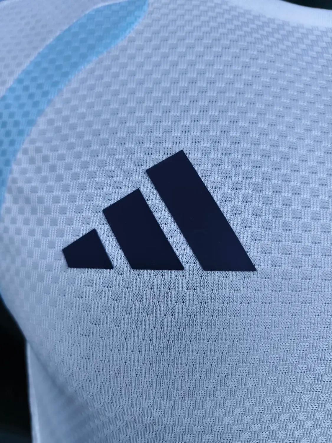 Argentina Vest Training Sets Soccer Jersey 26-27 - Player Version