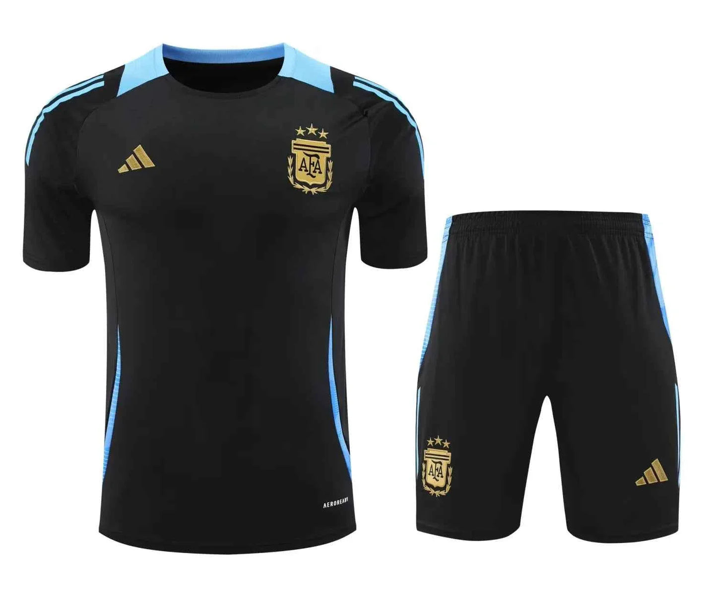 Argentina Training clothing set Soccer Jersey 24-25