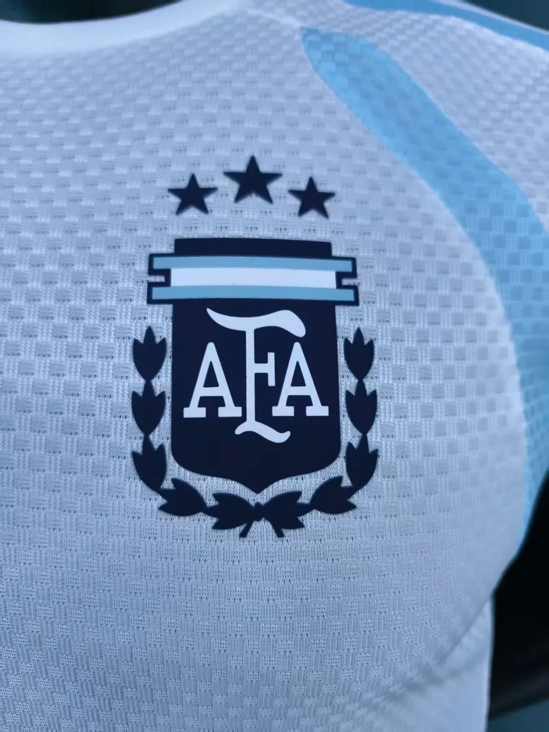 Argentina Vest Training Sets Soccer Jersey 26-27 - Player Version