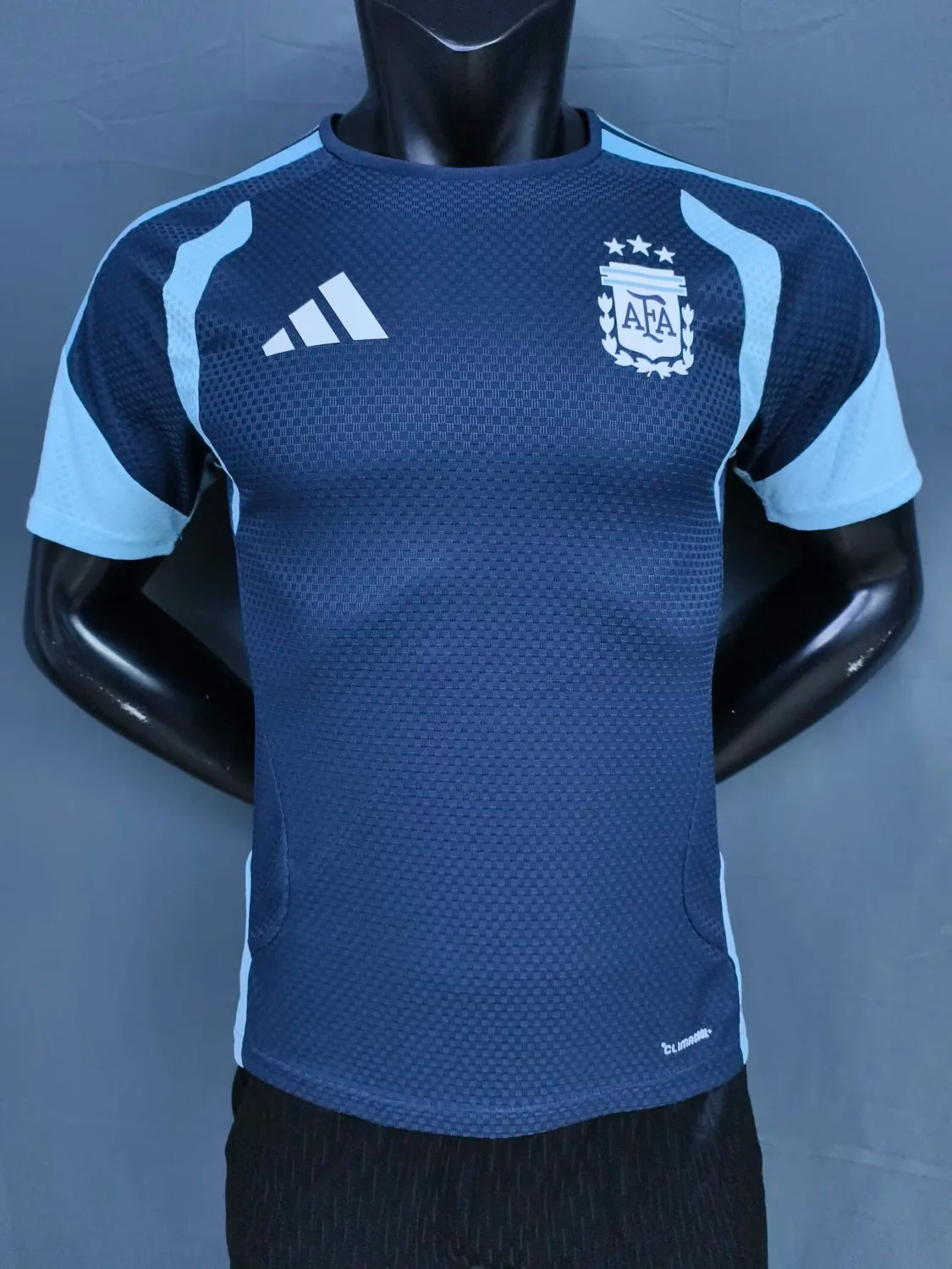 Argentina Training With Pants Sets Soccer Jersey 26-27 - Player Version