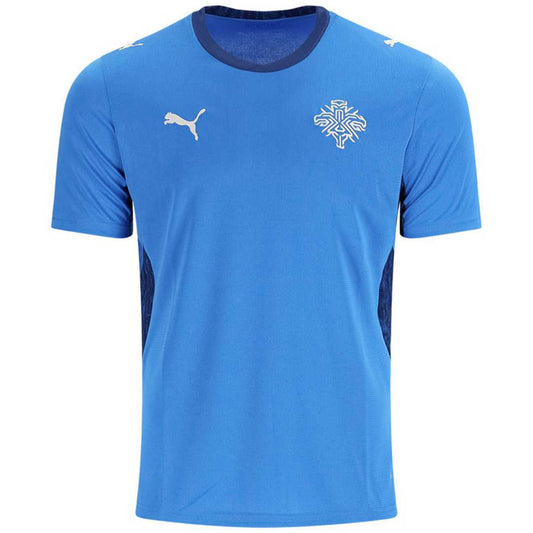 Iceland Home World Cup 2026 Soccer Jersey - Fan version