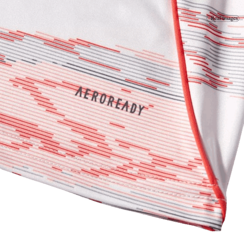 BAYERN MUNICH AWAY SOCCER JERSEY 2025/26 - Fan Version