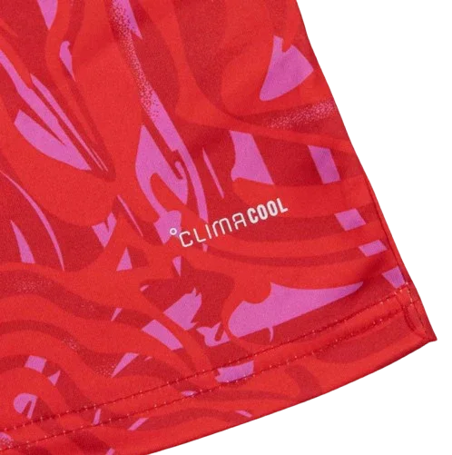 COSTA RICA 2026 HOME JERSEY FAN Version - Vantyjersey