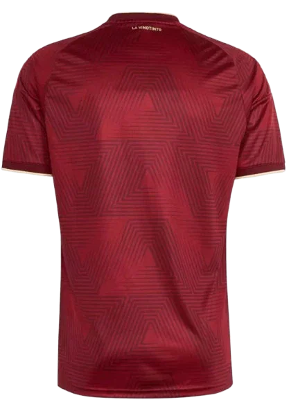 VENEZUELA HOME JERSEY 2026 FAN VERSION - Vantyjersey