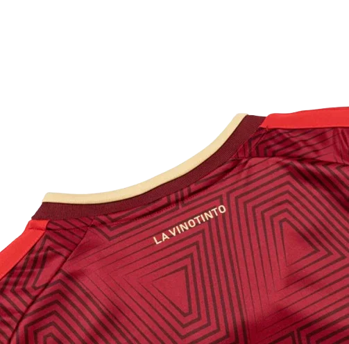 VENEZUELA HOME JERSEY 2026 FAN VERSION - Vantyjersey