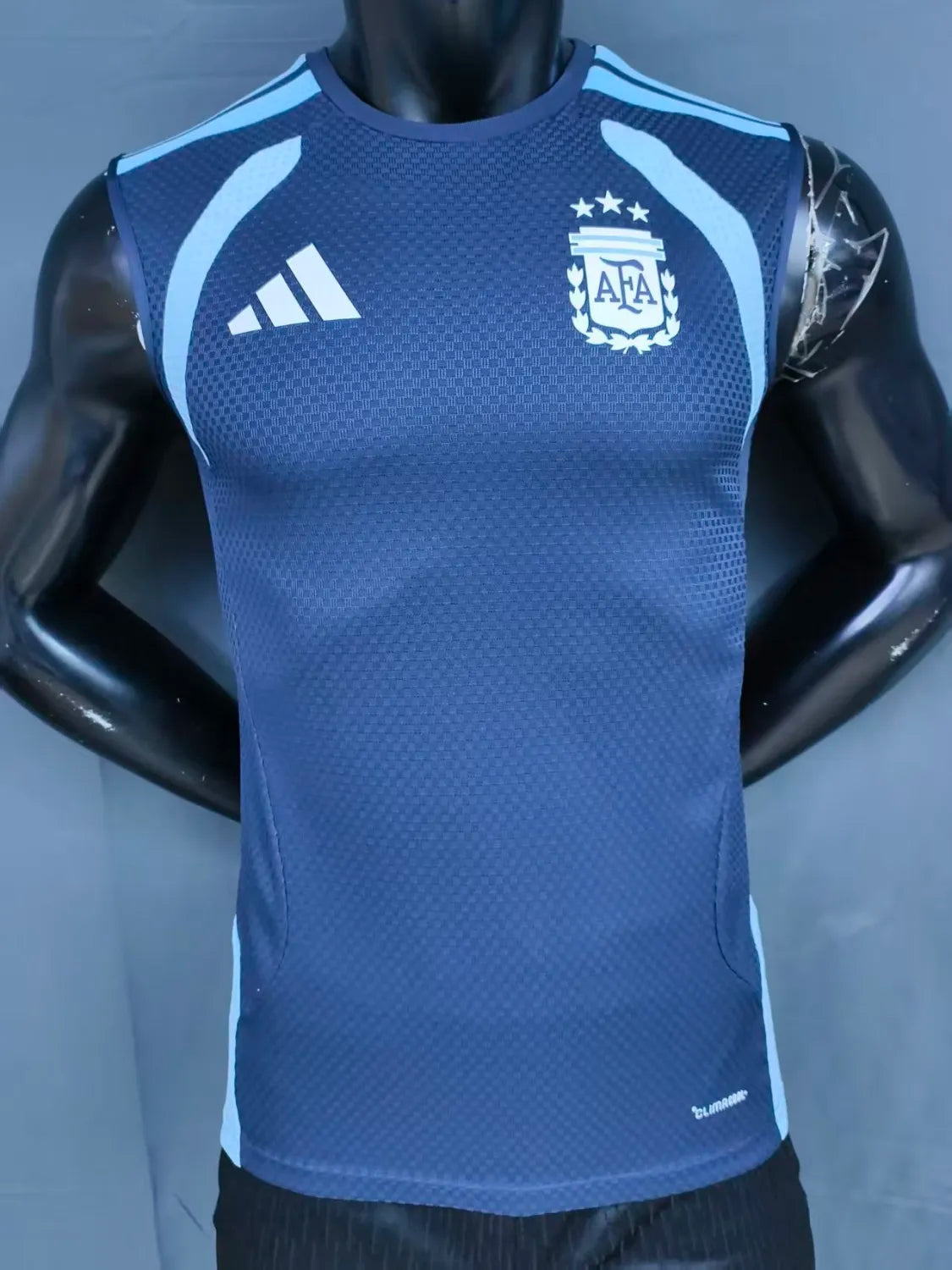 Argentina Vest Training Sets Soccer Jersey 26-27 - Player Version
